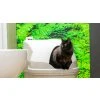 CatGenie Robotic Toilet Dome