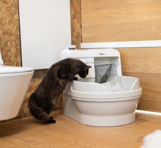 Jak správně zvykat vaši kočku na samočistící toaletu Catgenie?