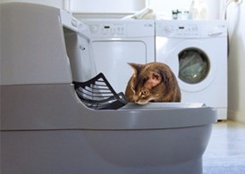 Savings & EnvironmentDiscover how CatGenie can save you money and time while helping protect the environment. See how it compares to traditional cat litter.