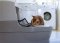 Savings & EnvironmentDiscover how CatGenie can save you money and time while helping protect the environment. See how it compares to traditional cat litter.