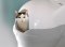 Your cat and the CatGenie