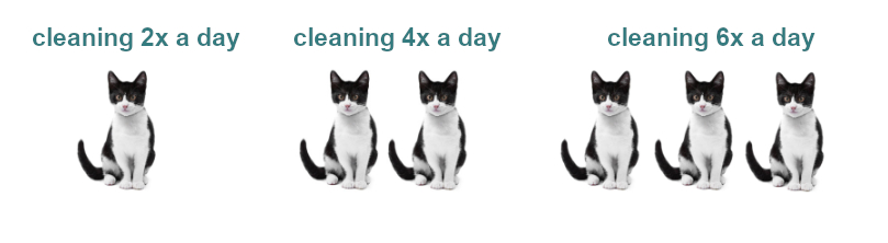 Self-cleaning cat toilet