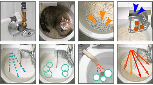 jak funguje catgenie